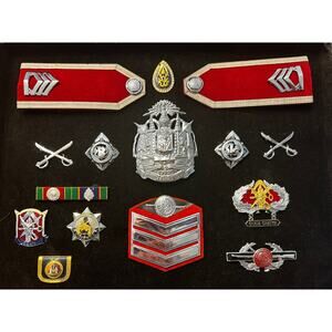 Framed Authentic Thailand Uniform Police Badge Collection Frame 14 X 11"